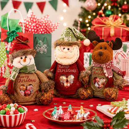 ✨🎅Vianočné darčekové tašky Healrize® so zapínaním na zips🎁